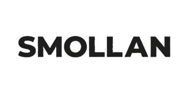 IT Director, Smollan Group — Smollan