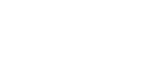 Discovery