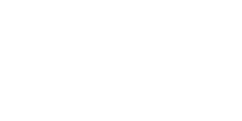 Momentum Group (MMI Holdings)