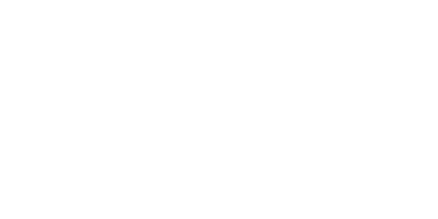 Public Investment Corporation