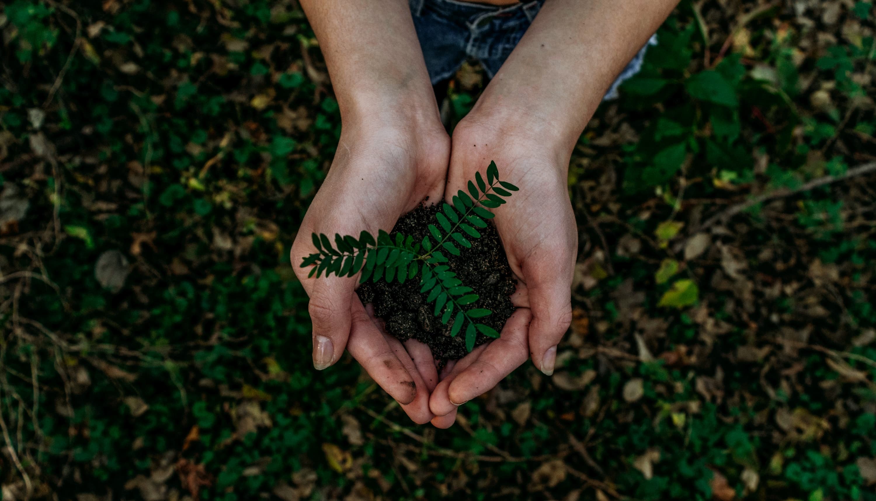 ESG reporting: a  BB-BEE repeat?