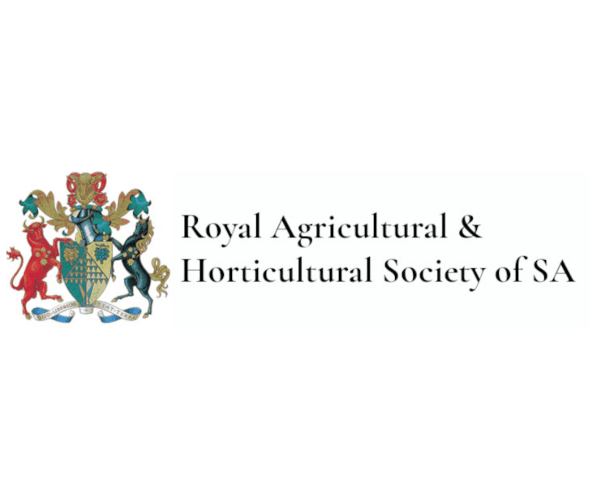 RAHS moves from Excel macro bottlenecks to real-time divisional budget ownership.