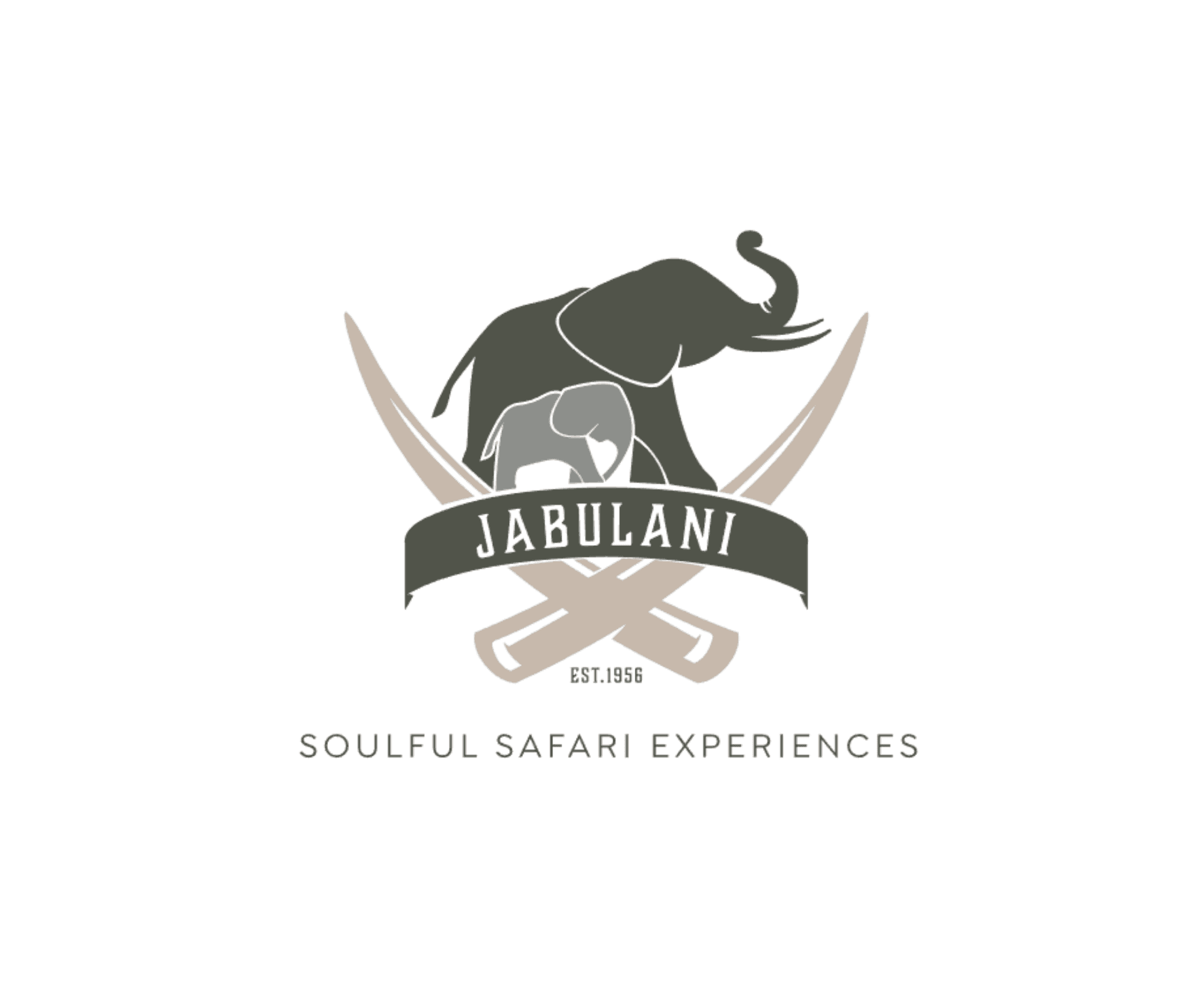 Jabulani Portfolio replaces broken Excel budgeting with centralised financial clarity.