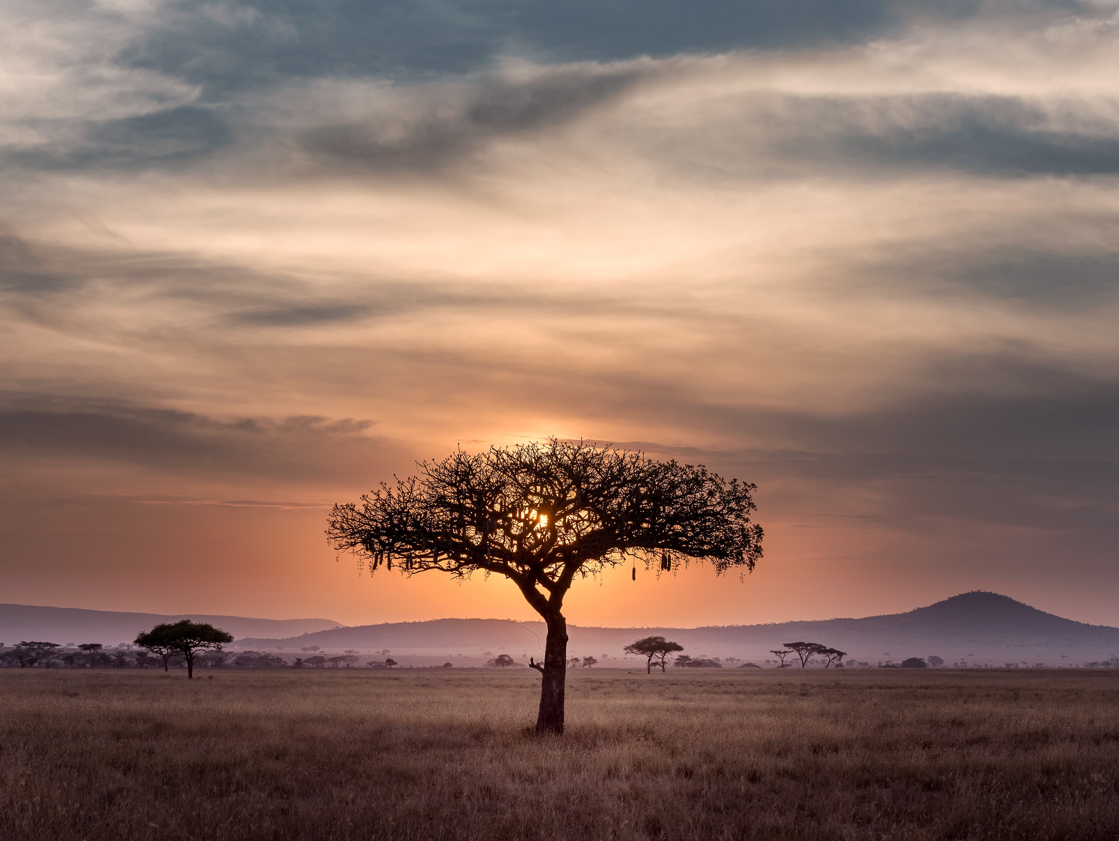 Outlook Cloudy in Africa