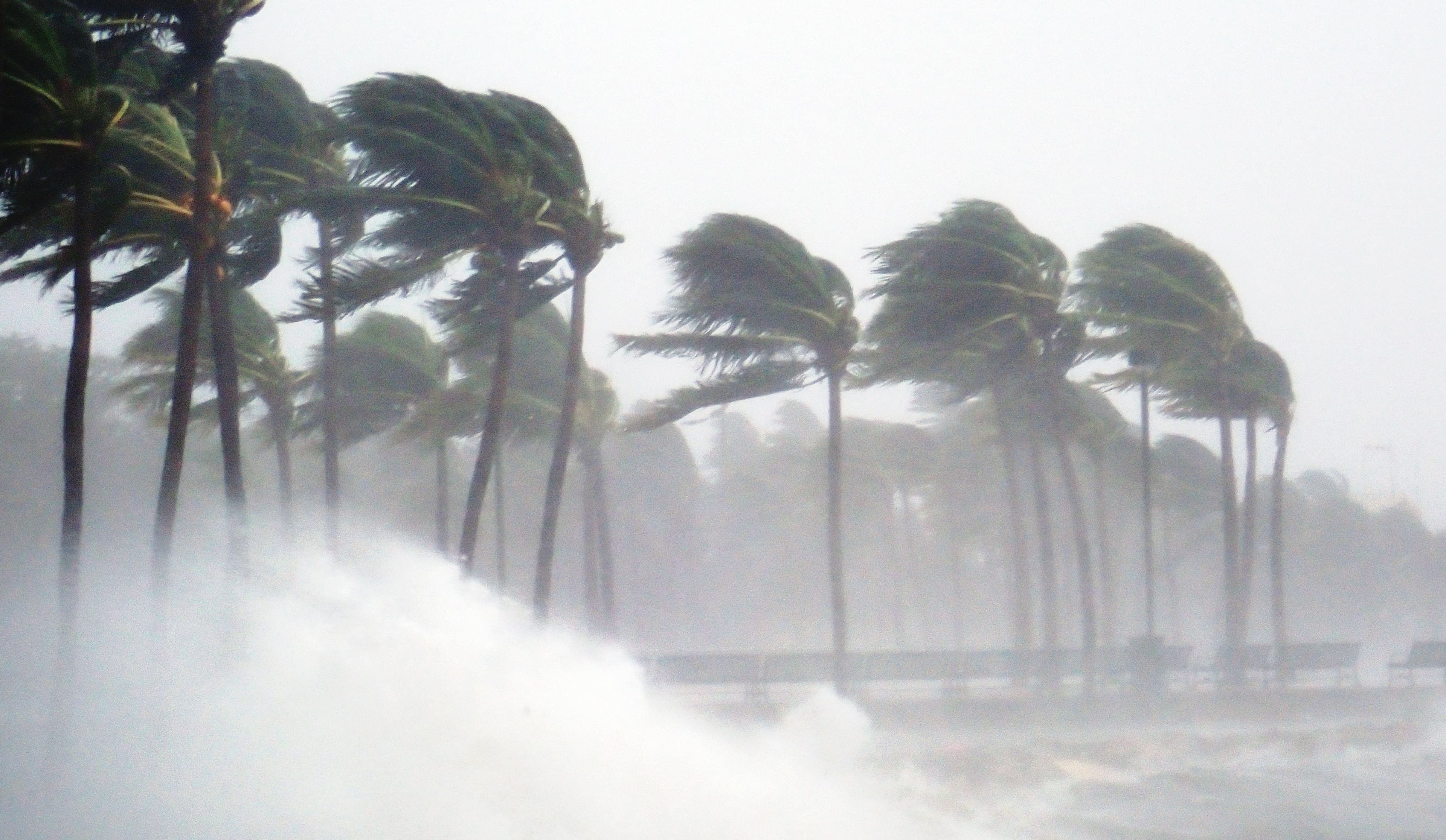 Forecasting in life and business