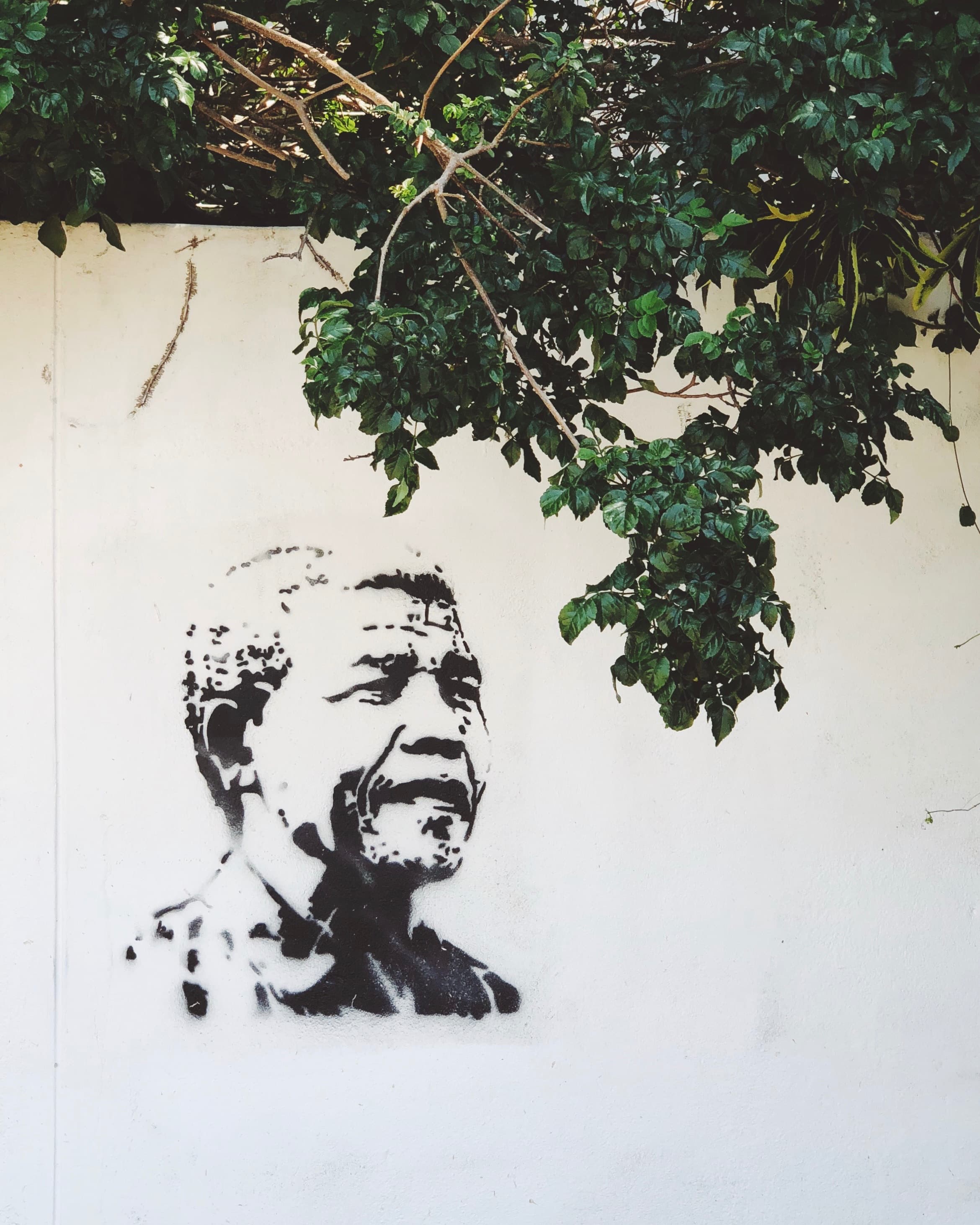 Farewell Mandela