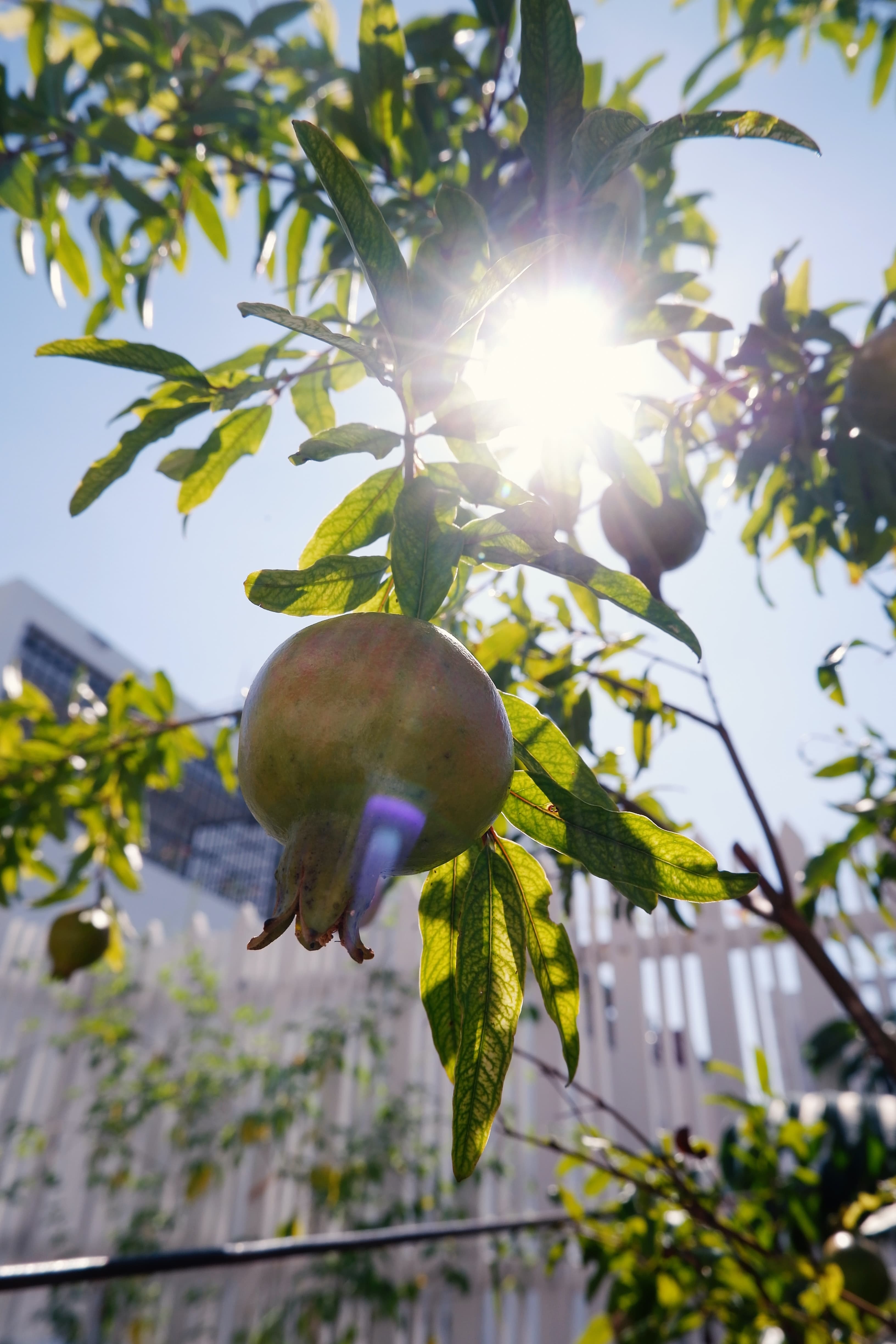 Cost Control: Be cautious about low hanging fruit