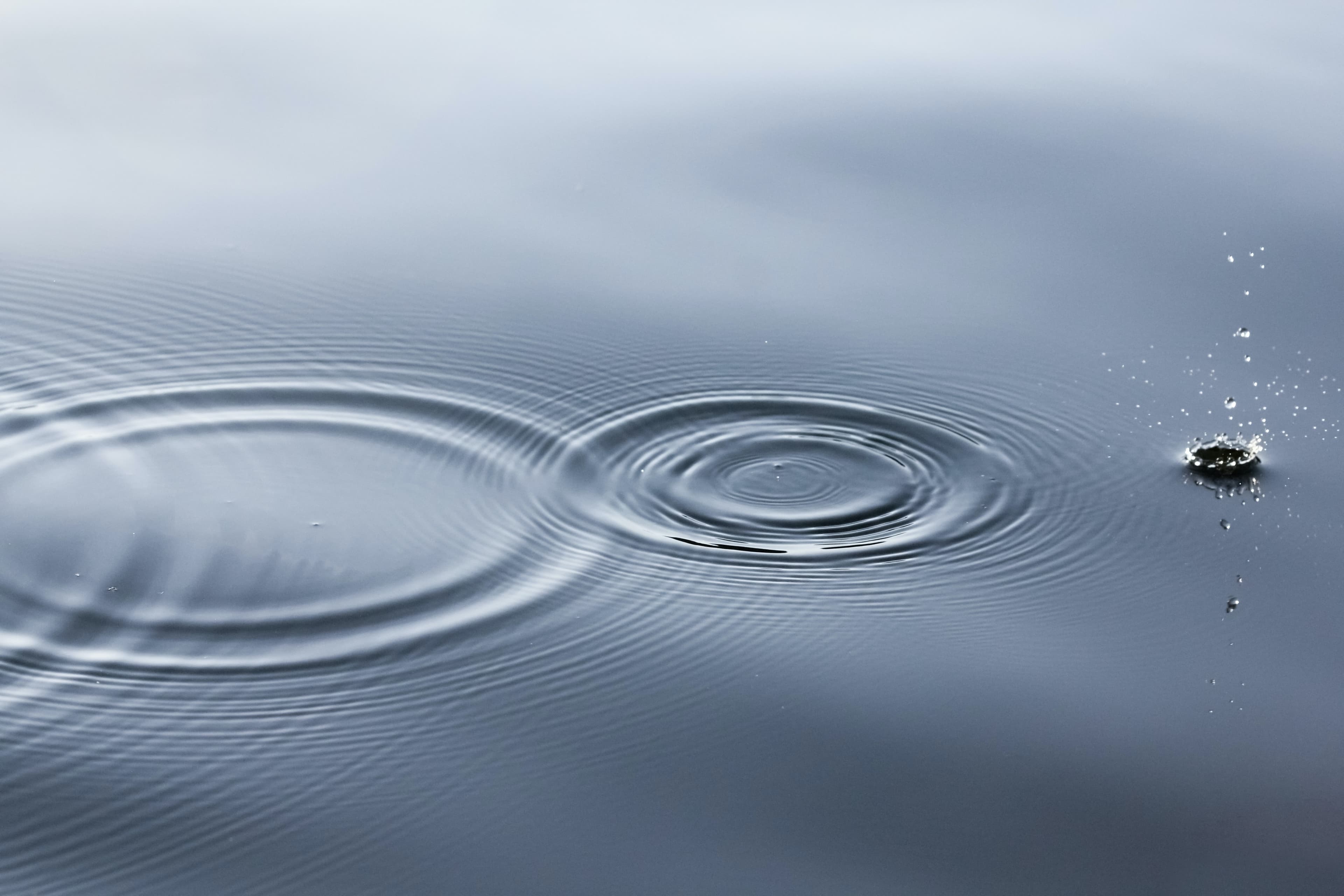 Planning & budgeting during relentless change