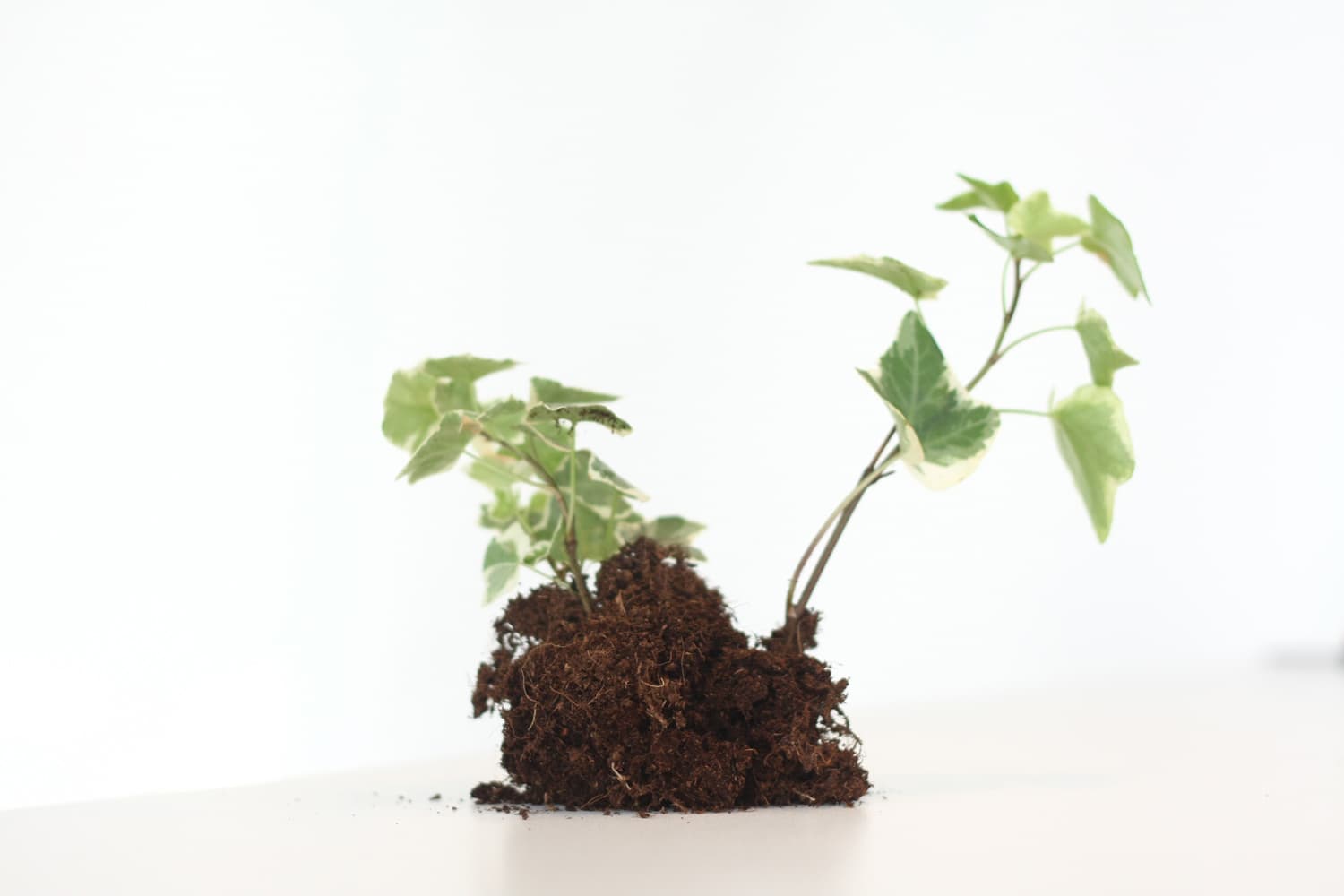 Challenging the state on impact investing