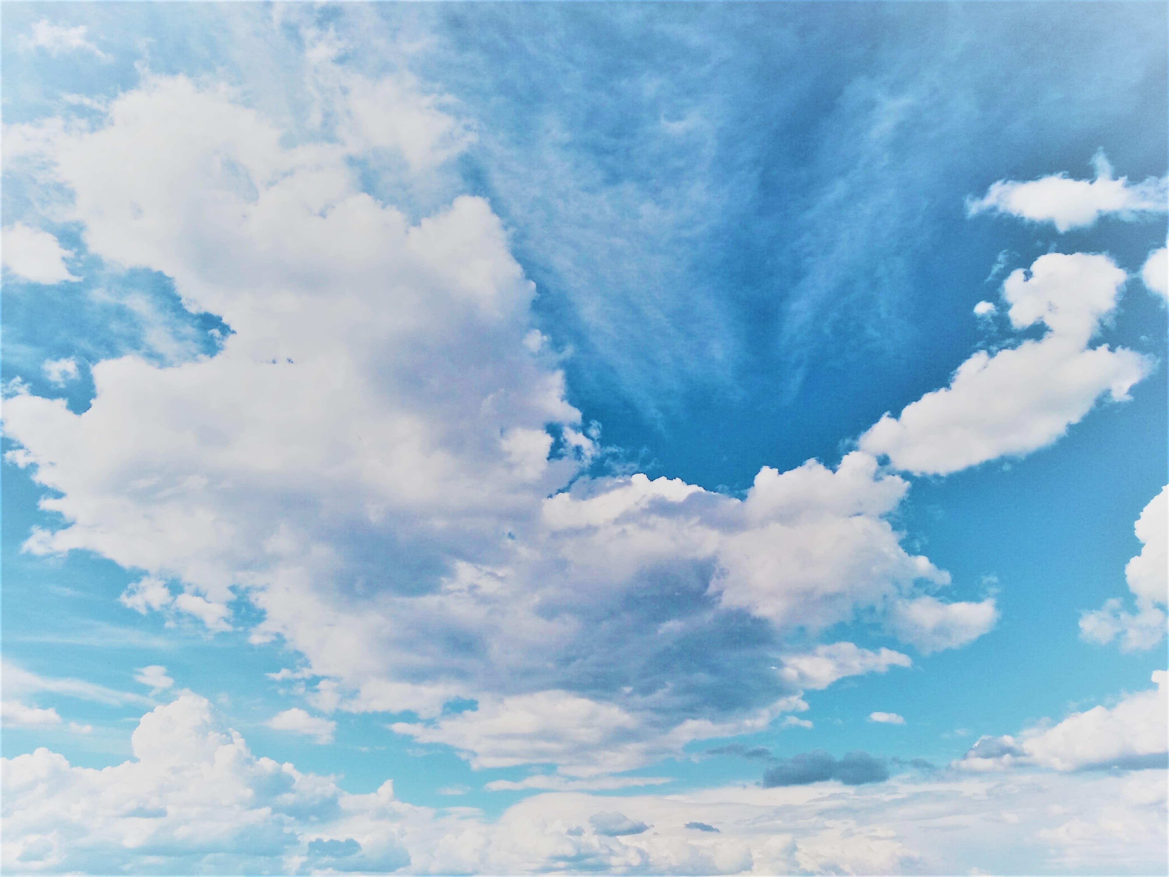 Embrace the cloud to move your business forwards