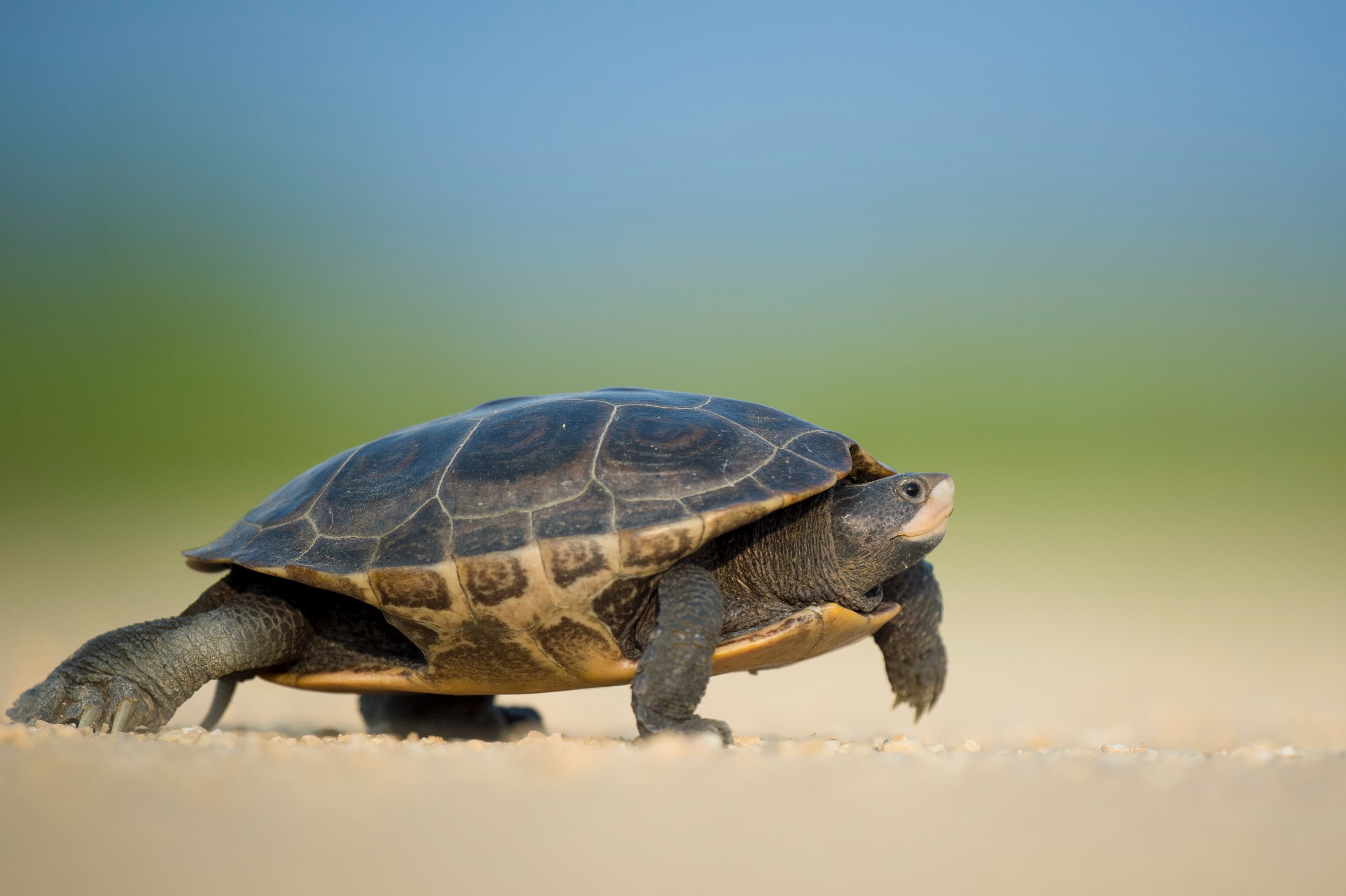 Is the world moving too fast for accountants?