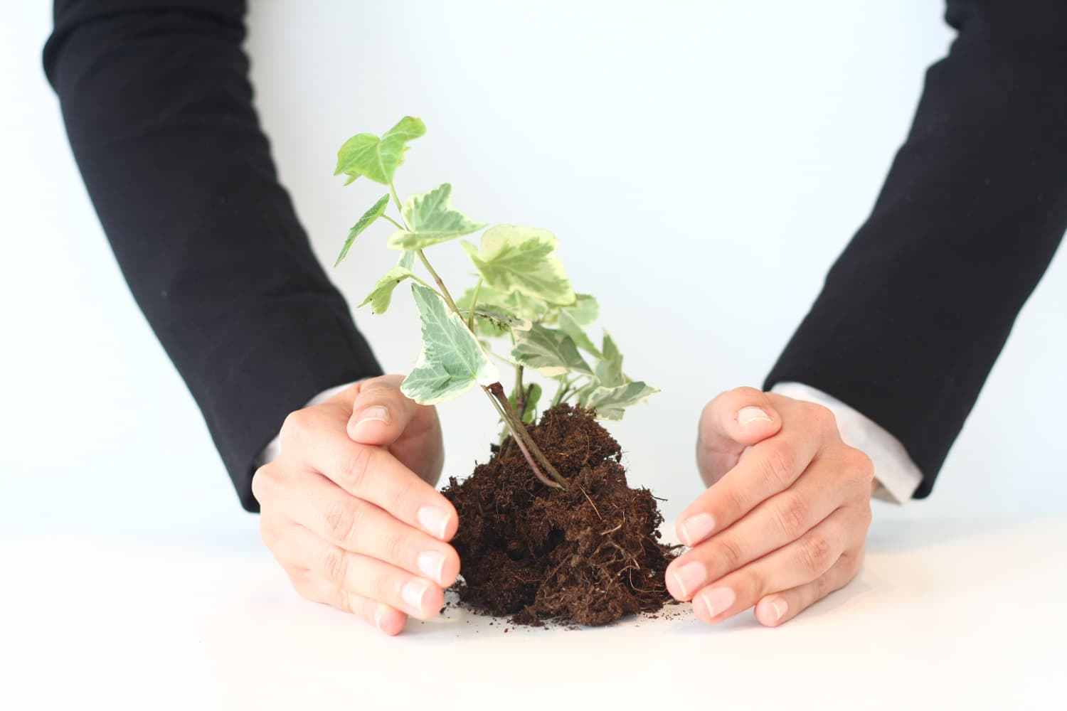 Green shoots of recovery start today