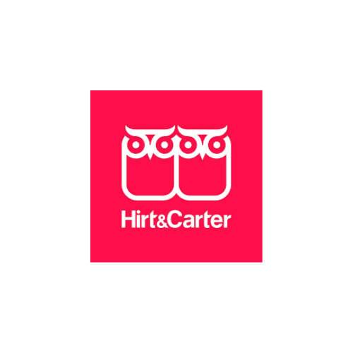 Hirt & Carter streamlines group reporting and forecasting with IDU-Concept since 2004.