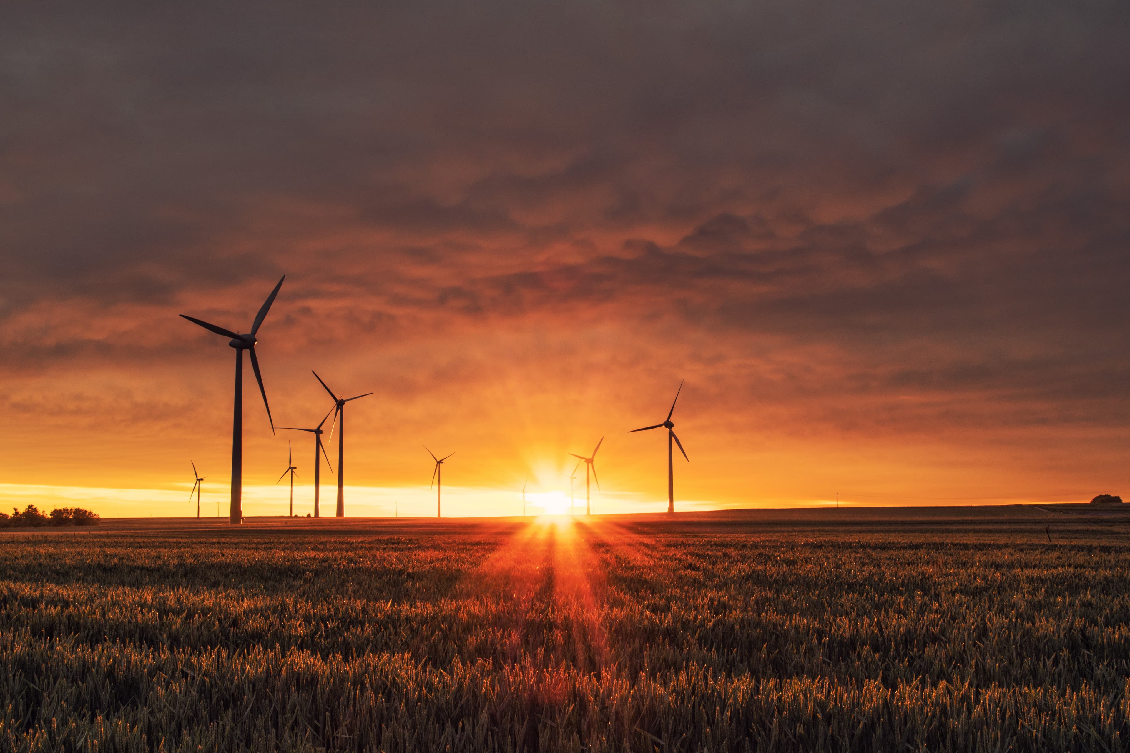 Sustainability reporting and SMEs – lessons from South Africa