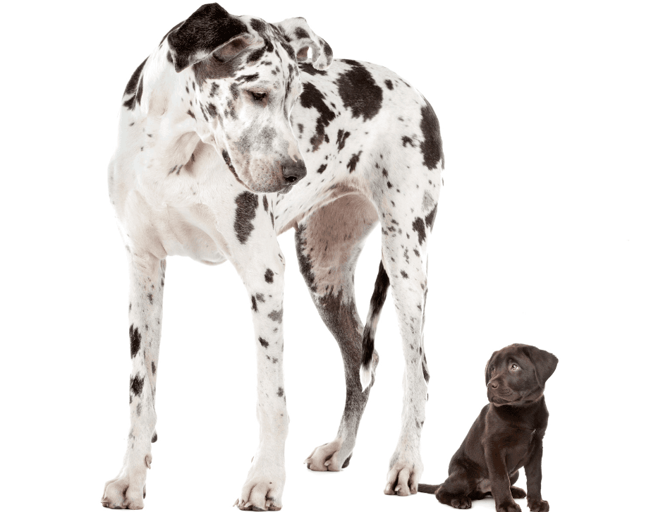 The David v. Goliath of financial software