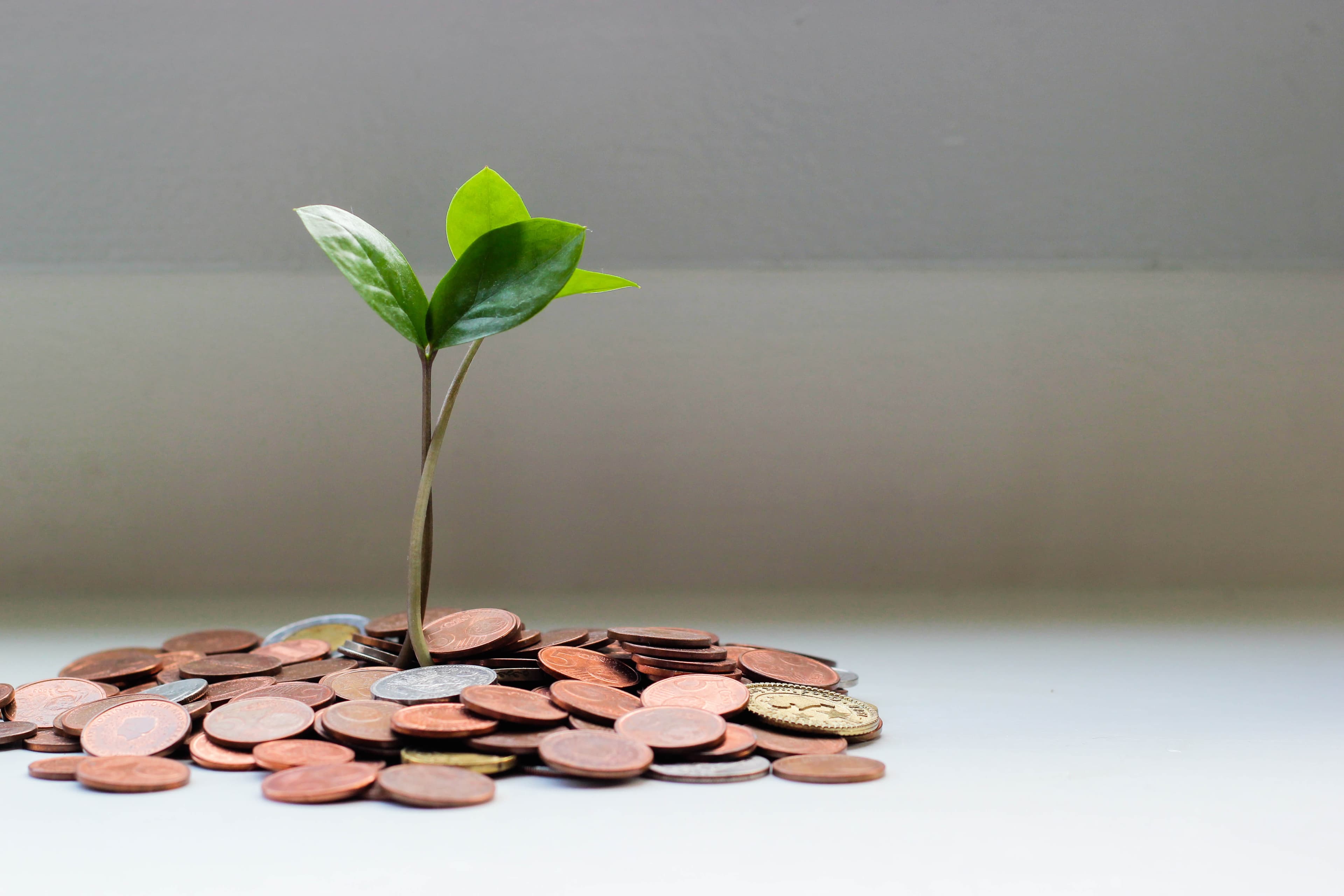 The case for zero-based budgeting